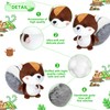 Soulchen 12 Pcs Squirrel Stuffed Animal Plush 4.7 Inch Small