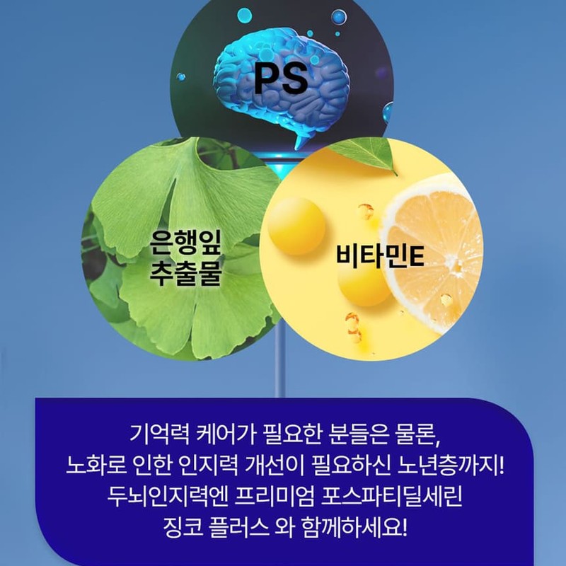 Healthy Hug Brain and Cognitive Power Premium Phostatindylserine PS Ginkgo