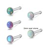 Lantine Nose Studs Set