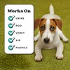Pet-Pourri Pawsitively Fresh Pet Odor Deodorizer Spray, 16 Fl Oz,