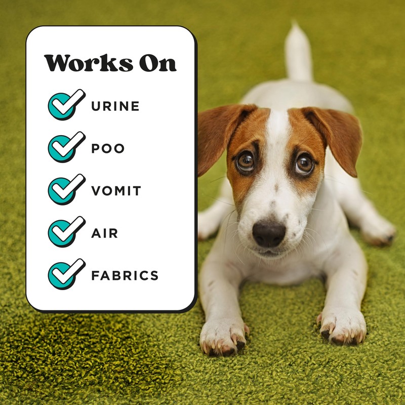 Pet-Pourri Pawsitively Fresh Pet Odor Deodorizer Spray, 16 Fl Oz,