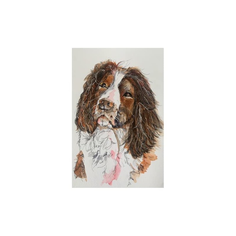 Springer Spaniel Owner Gift Notebook Journal - 100 pages -