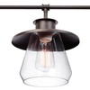 GLOBE Electric 65382 4-Light Pendant, Oil Rubbed Bronze, Clear Glass