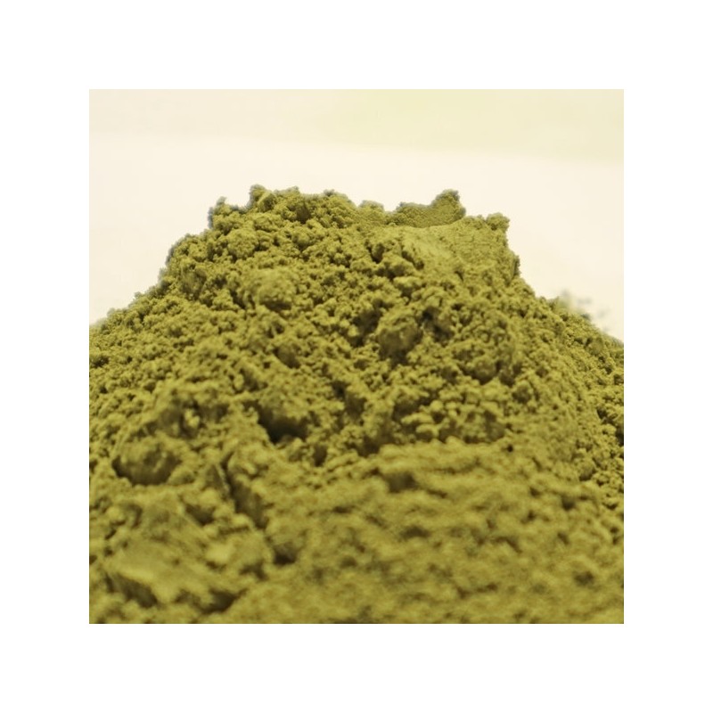 Chamdoori green tea powder 500g (domestic) / 참두리 녹차가루분말 500g