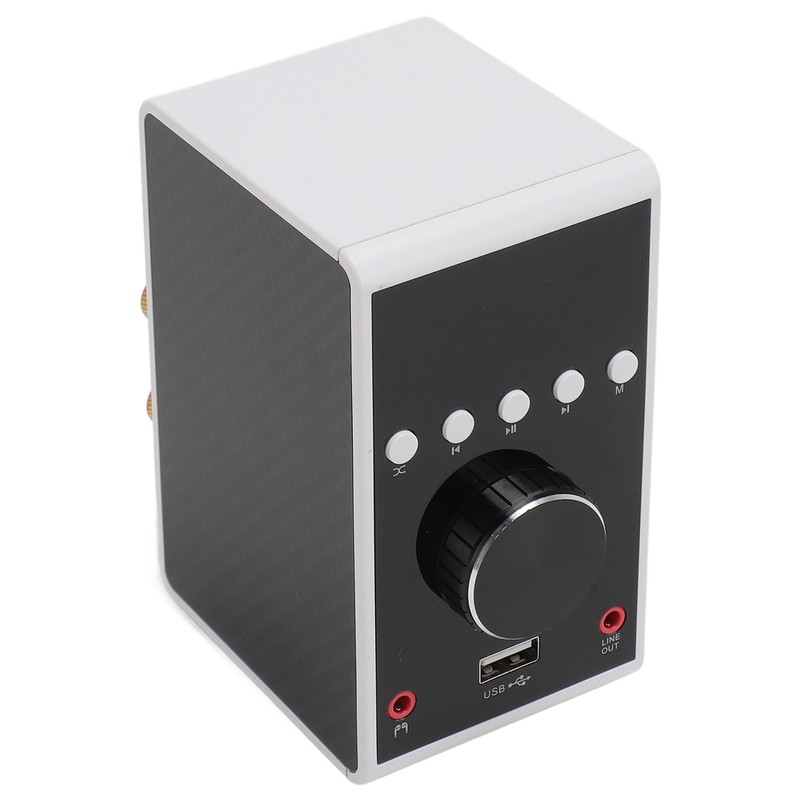 200W Bluetooth 5.0 Amplifier HIFI Stereo Sound Digital Amp Wireless