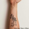 'Zebra Foal' Temporary Tattoo - Water Resistant, Skin-Safe, Non-Toxic Transfer