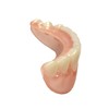 Instant Smile Professional Cosmetic Lower Teeth - New from Hand