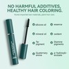 2PCS Hair & Brow Mascara, Root Touch Up Hair Color,