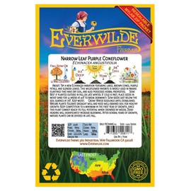 Everwilde Farms - 200 Narrow-Leaf Purple Coneflower Native Wildflower Seeds - Gold Vault Jumbo Seed Packet