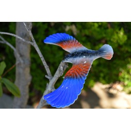 Balancing Bird Toy 6.5 Inch Wing Span-Colors May Vary by C&H Solutions