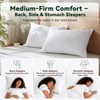 Three Geese White Goose Feather Cotton Pillows Queen Size Set
