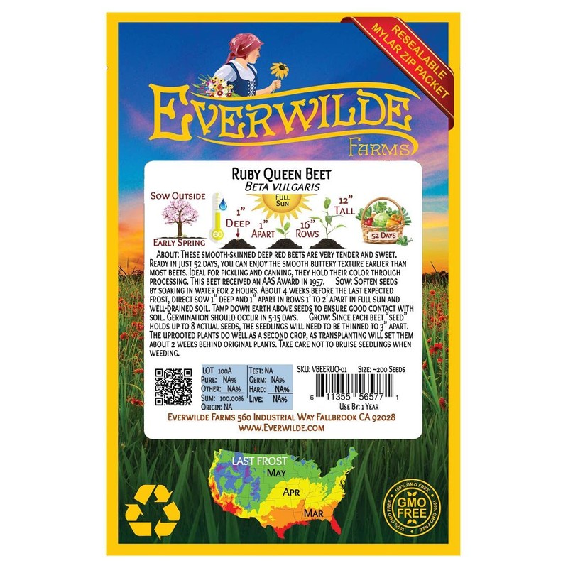 Everwilde Farms - 200 Ruby Queen Beet Seeds - Gold