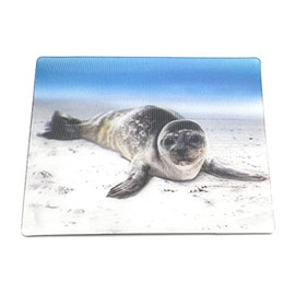 Onwomania Seal Cute 9 x 7 cm 3D Magnet Card Fridge Magnet Picture Staple Magnet Grey