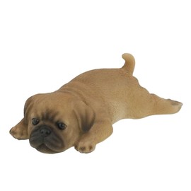 Beniz Lid Sanpun Matsuwan (Pug)