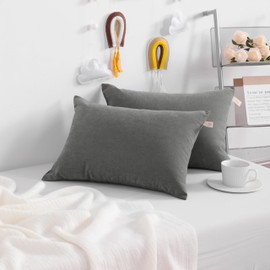 NTBAY 2 Pack Tiny Pillows, 11"x7" Microfiber Mini Pillows for Travel, Pets, Soft Machine Washable Small Pillows for Neck, Wrist, Lumbar and Knee, Dark Grey