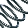 EIBACH R10198 Suspension Spring Coil Springs, Coil Spring, Front Coil