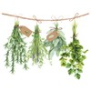 Napkin Fresh Herbs Pack of 20