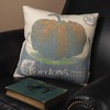 Primitives by Kathy Feed-Inspired Throw Pillow, 16-Inch Square, Pumpkin Seeds