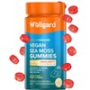 Wellgard Vegan Sea Moss Gummies, Formulated for Immunity with Iodine, Vitamin D3, Vitamin C, 60 Gummies