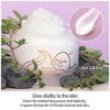 Elizavecca Gold CF Nest B Jo Eye Want Cream, 3.4