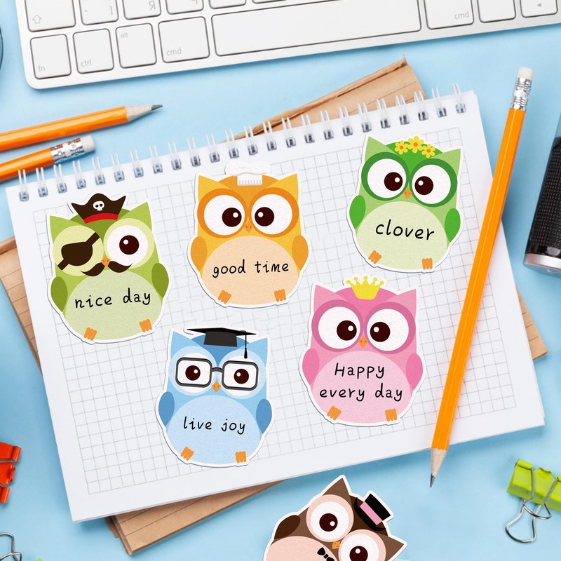 12 Pack Owl Cartoon Sticker Notebooks, 240 Cute Animal Sticker