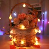 LOENDE Battery Operated Globe String Lights 16FT Waterproof 30 LED