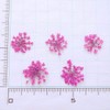 Dried Flower Lace Pressed Flowers 60 Pieces Resin Art or