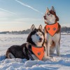 2 PCS Blaze Orange Dog Bandana- Hi-Vis Safety Vest for