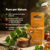 Himalaya Ayurveda Secrets Ultra Rich Lip Butter Jar – Centella