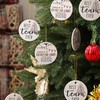 Suzile 24 Pcs Team Christmas Ornaments Bulk Gifts Coworkers are