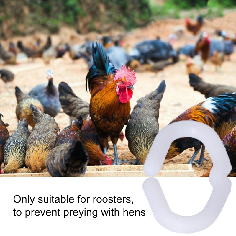 200PCS PP Plastic Chicken Beak Clasps Reusable Rooster Mouth Snap