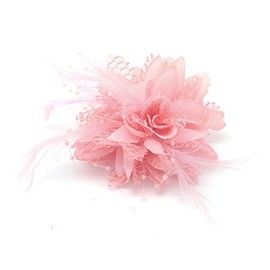 Flower Feather Bead Corsage Hair Clips Fascinator Hairband and Pin (Baby Pink)