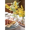 Tokyodo FM002193-zzz Artificial Flowers MAGIQ Bright Mimosa Yellow L 16.5