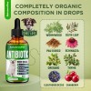 SalutemPet Natural Dog Antibiotics | UTIs, Allergies, Joints, Digestion |