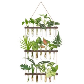 Mkono Plant Propagation Tubes, 3 Tiered Wall Hanging Terrarium with Wooden Stand & 21 Test Tube Vases for Hydroponic Plant Cutting & Home/Office Decor