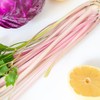 Pink Chinese Celery 200+ Seeds, Asian Heirloom Chinese Celery Seeds,