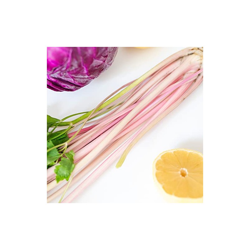 Pink Chinese Celery 200+ Seeds, Asian Heirloom Chinese Celery Seeds,