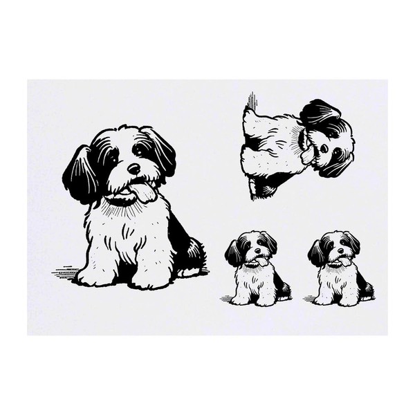 4 x 'Havanese Dog' Temporary Tattoos - Water Resistant, Skin-Safe,