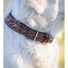 Unique Leather Dog Collar with Hand-Carved Stamping Patterns / Ornaments