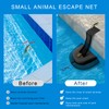 Busnacty 2-Pack Animal Saving Escape Ramp - Frog Floating Ramp
