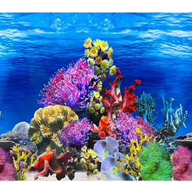 XCNO Fish Backgrounds Paper Double Sides Undersea Aquarium Background Poster Colorful Sea Anemone Fish Tank Background Sticker Decorations 16"x 33"