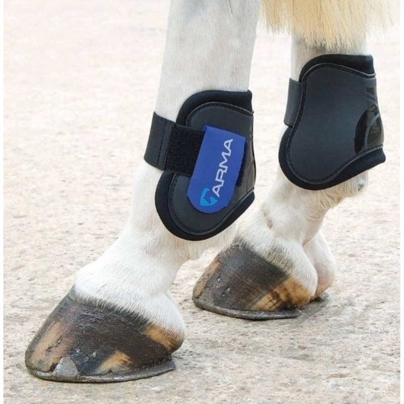 Shires Arma Fetlock Boots - Black/Plum: Cob/Full