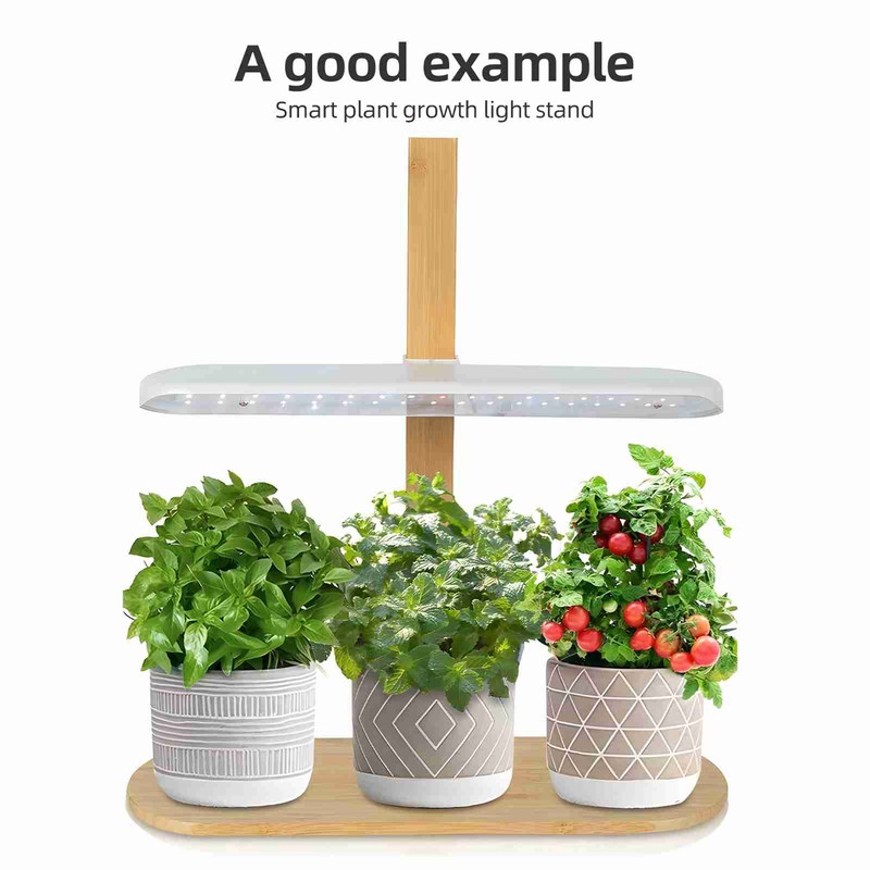 Small Tabletop Plant Light 10W 4 Brightness Adjustments Full Spectrum