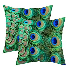 Doobicy 18X18 Inch Peacock Feather Throw Pillow Covers Set of 2