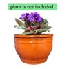 Dphagesy African Violet Pots Self Watering Round Ceramic Violet Pot