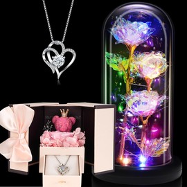 OWUYUXI 2 Piece Gifts Set for Women, Gifts for Mom Wife Women Sister Grandma Girlfriend Her, Mothers Gifts Day from Daughter Son Birthday, Light Up Rose Flowers in Glass Dome