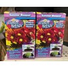 Garden Innovations Summer Bouquet Flower Rocket As Seen On TV Indoors Outdoors Countless 1000 Seeds
