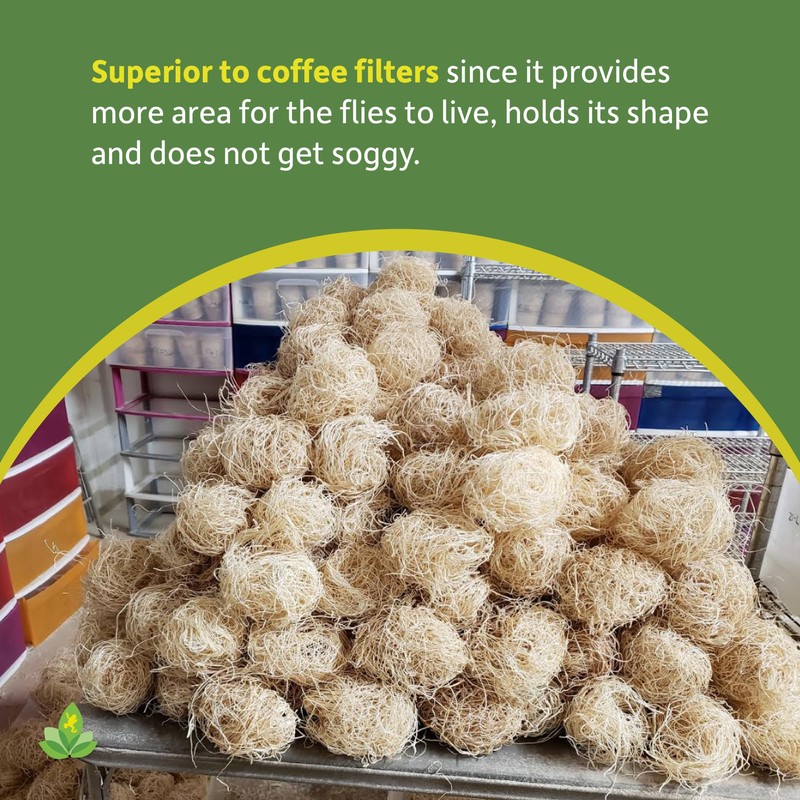 Josh's Frogs Excelsior (Makes 10 Fruit Fly Cultures) 4.6oz