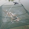 Trampa de Cebo de Pesca Trampa Plegable para pececillos Cangrejo