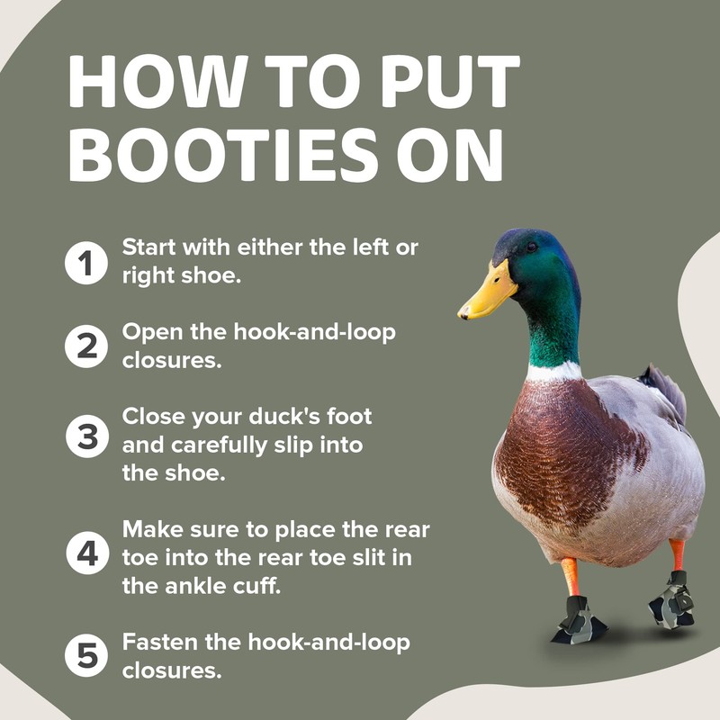 Birdy Bootie Duck Shoes for Injured Feet – Protective Neoprene